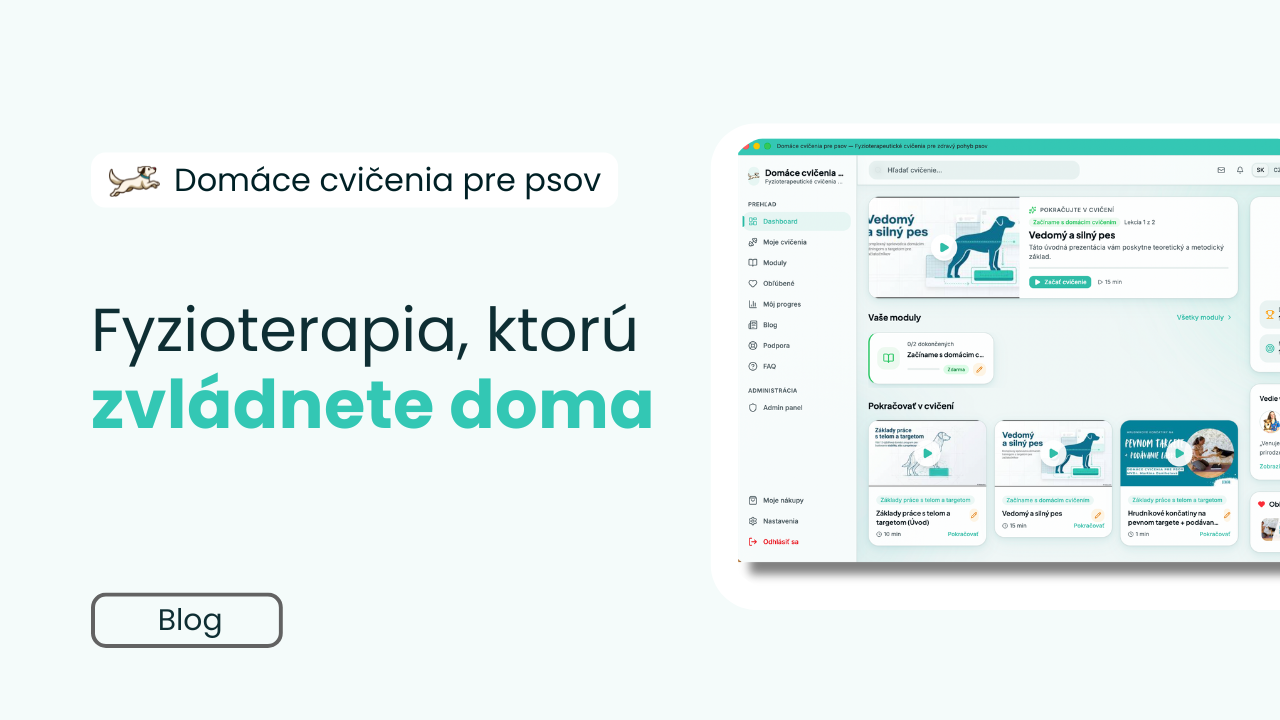 Domáce cvičenia pre psov: profesionálna fyzioterapia, ktorú zvládnete doma